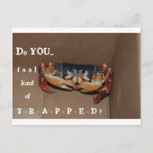 Postale Une carte drôle pour remonter le moral d'un ami...