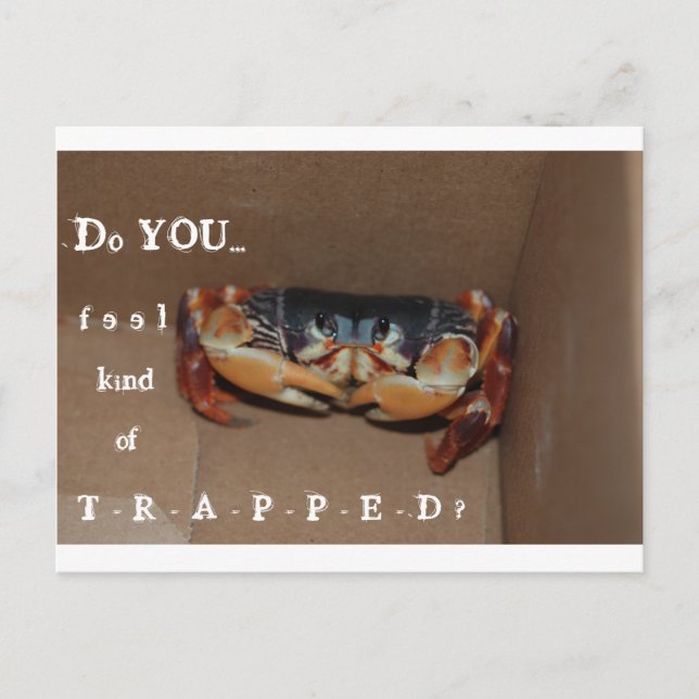 Postale Une carte drôle pour remonter le moral d'un ami... (Devant)