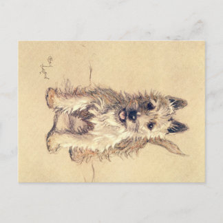 Postale Une douzaine de chiens ou ainsi Cecil Aldin carte 