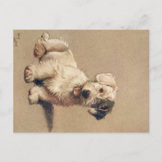 Postale Une douzaine de chiens ou ainsi Cecil Aldin carte 