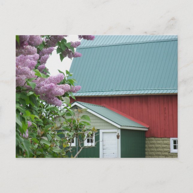 Postale Upper Peninsula Michigan Red Barne Lilac Carte pos (Devant)