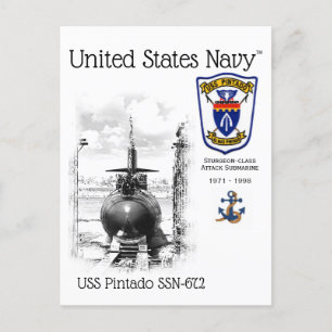 POSTALE USS PINTADO SSN-672 ATTACK SUBMARINE - CARTE POSTA