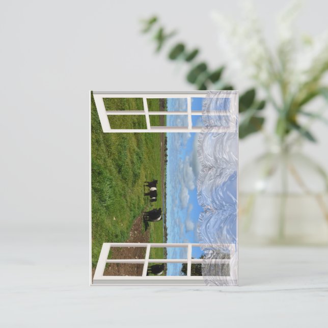 Postale Vaches galloway à travers une fenêtre, carte posta (Debout devant)