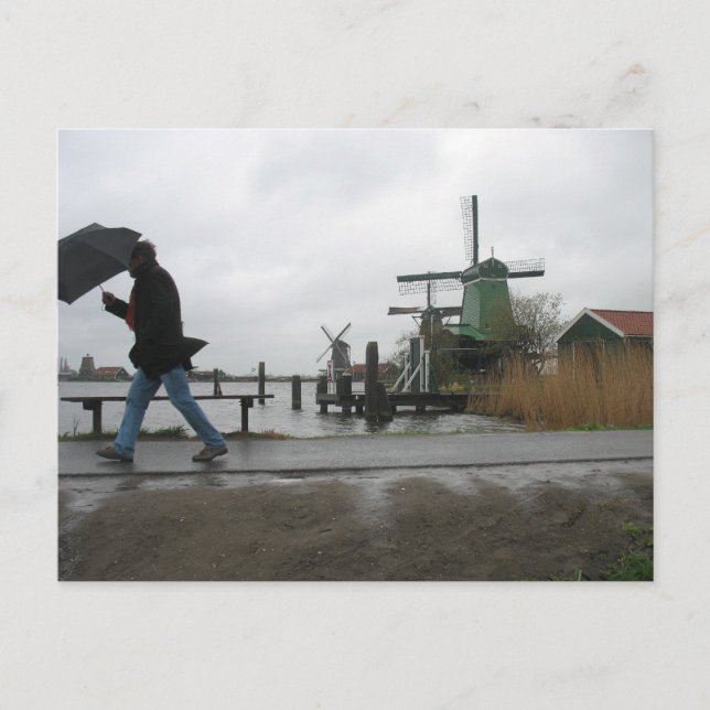Postale Vent et pluie à Zaanse Schans Windmills Carte post (Devant)