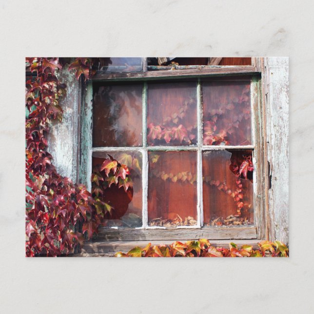 Postale Vins Rustiques D'Automne Contre Une Ancienne Carte (Devant)