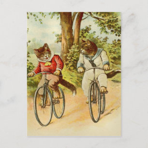 Postale Vintage Cats Riding Bicycles Illustration Carte po