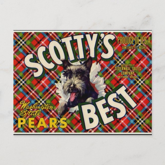 Postale Vintage Funny Scotty Chien Plaid étiquette - carte (Devant)
