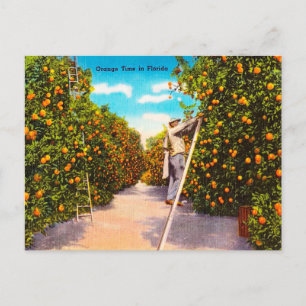Postale Vintage Orange Time en Floride Voyage Carte postal