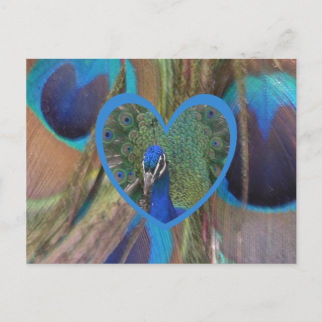 Postale Visage de paon dans le coeur do-it-yourself carte  (Devant)