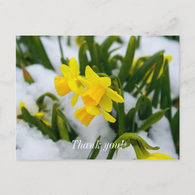 Postale Vive le Printemps Carte de Remerciements (Devant)