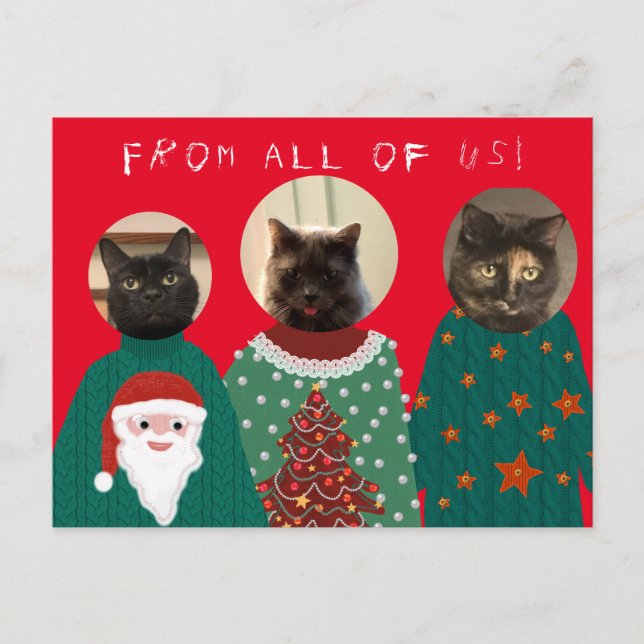 Postale Vos 3 chats dans les affreux pulls de Noël Carte p (Devant)