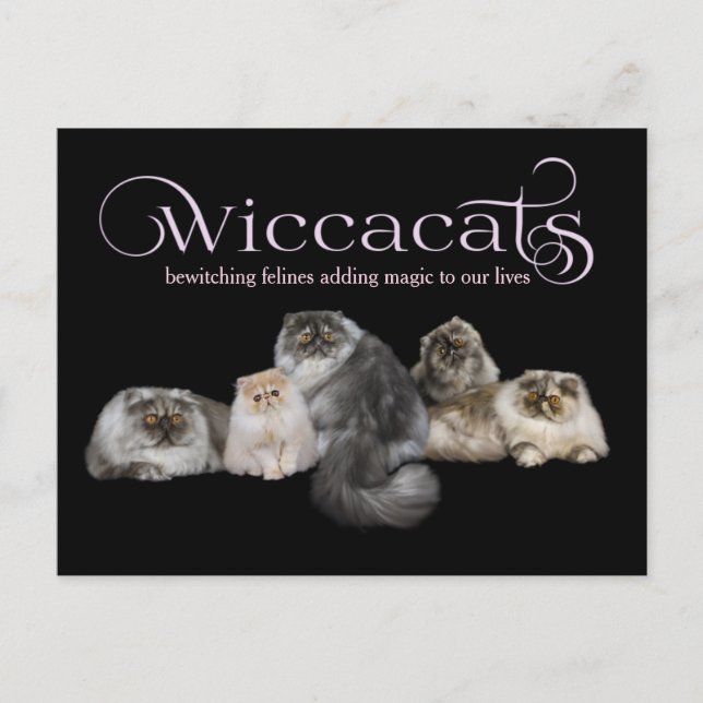 Postale WiccaCats GRAND carte de visite (Devant)