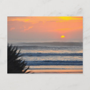 Postale Wilbur by the Sea Palm Sunrise Florida Carte posta