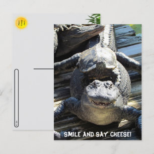 Postcross - Ultimate Florida Tourist Carte postale