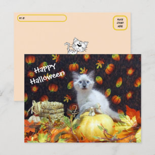 Poste - Carte postale Halloween de Savannah - Chat