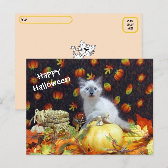 Poste - Carte postale Halloween de Savannah - Chat (Devant / Derrière)