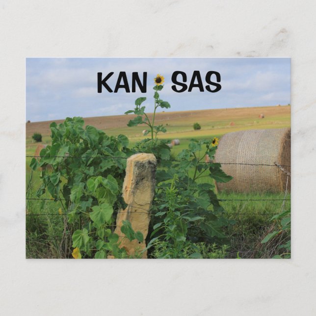 Poste en pierre du Kansas avec carte postale Sunfl (Devant)