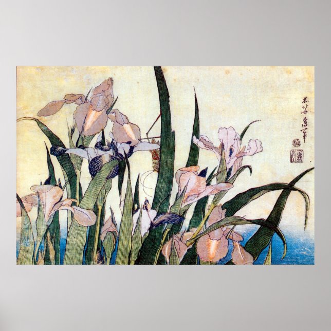 Poster 杜 若 と き り ぎ り,   Iris et Grasshopper, Hokusai (Devant)