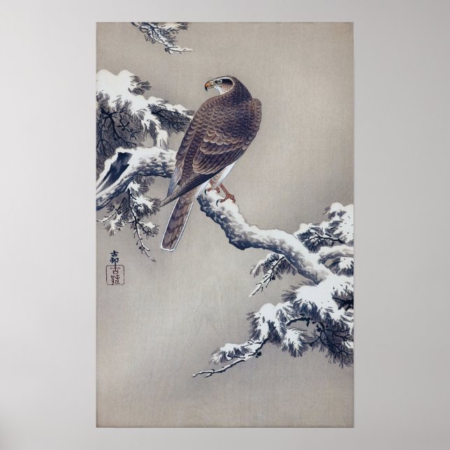 Poster 松 に 鷹, 古 邨 Hawk sur Pine tree, Ohara Koson, Coupe  (Devant)