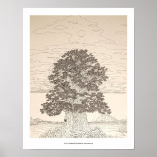 POSTER 海 辺 の 大 木