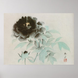 Poster 牡 丹, 速 水 御 舟 Peony, Gyoshu, Art japonais