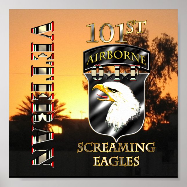 Poster 101e division aéroportée Vétéran de l'OIF (Devant)