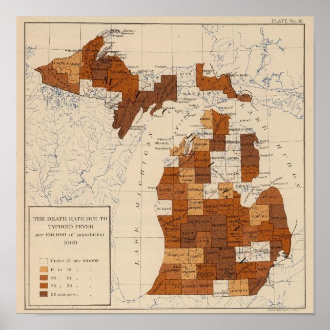 Poster 110 Typhoid fever Michigan (Devant)