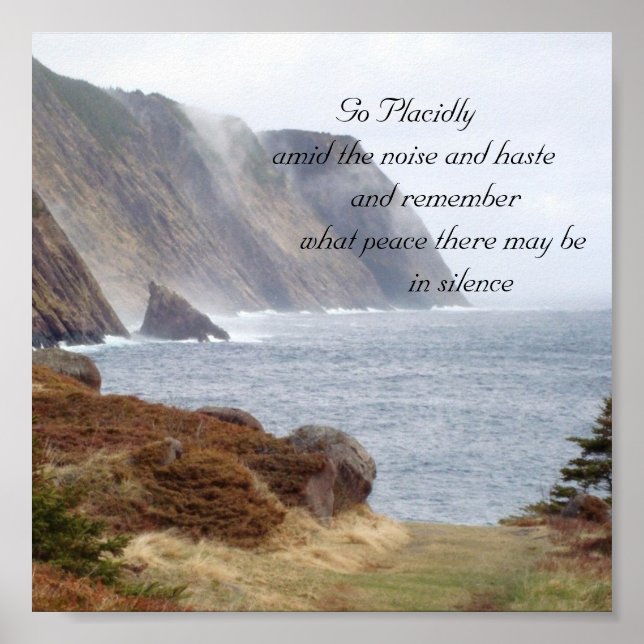 Poster 134, Aller Placidement au milieu du bruit et de la (Devant)
