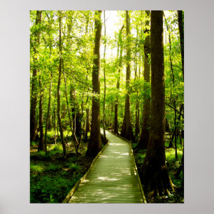 Poster 16x20 - Chemin forestier