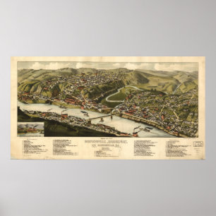 Poster 1883 Brownsville, PA Oiseaux Vue panoramique Carte