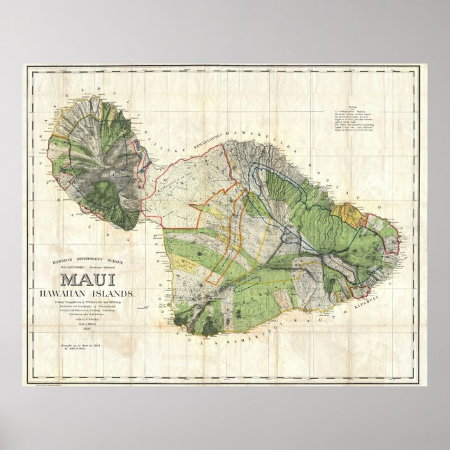 Poster 1885 De Witt Alexander Plan du mur de Maui, Hawaii (Devant)