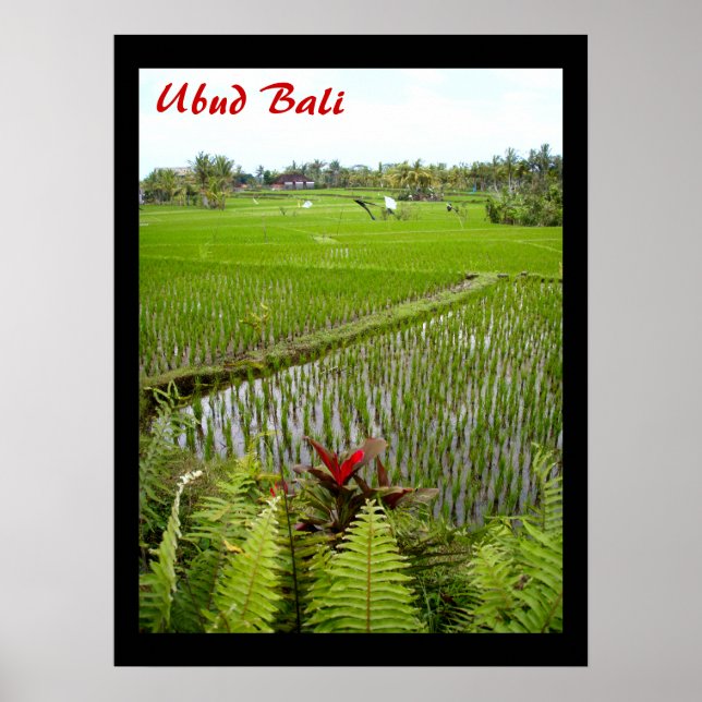 Poster (18" x 24") Le Flower Ubud Bali (Devant)