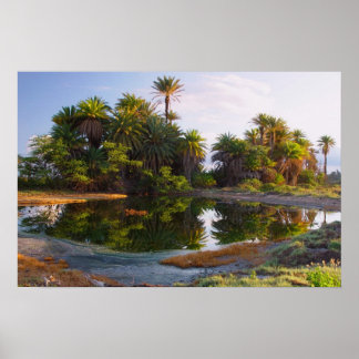 Poster 1 000 000 ans avant J.-C.