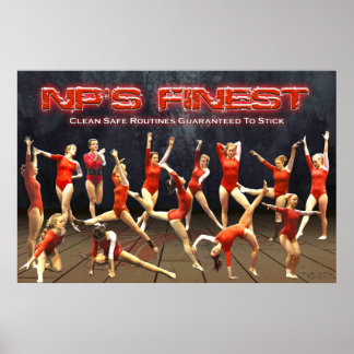Poster 2013 New Palestine Gymnastique