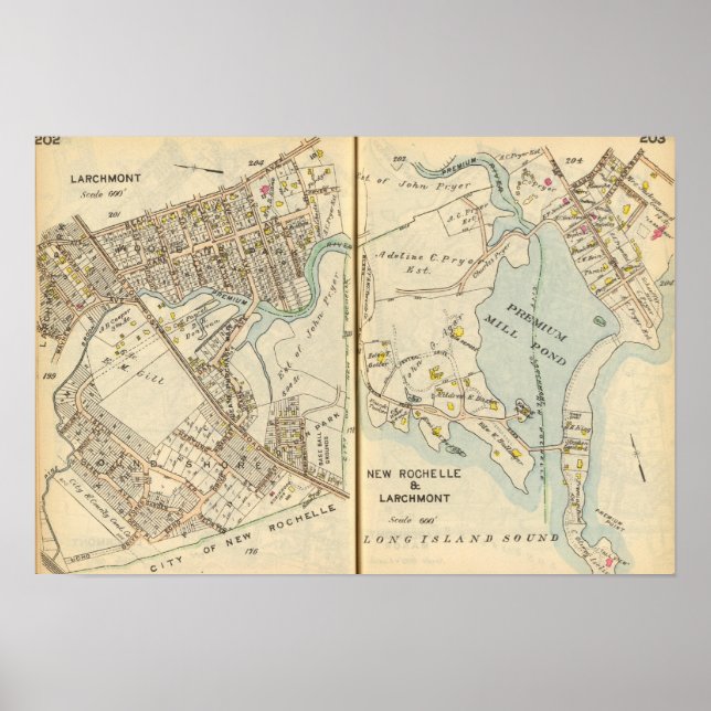 Poster 202203 Larchmont, New Rochelle (Devant)