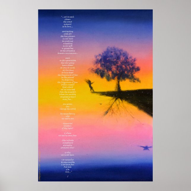 Poster 2055.Apprendre à atterrir ? Poster/imprimer (Devant)