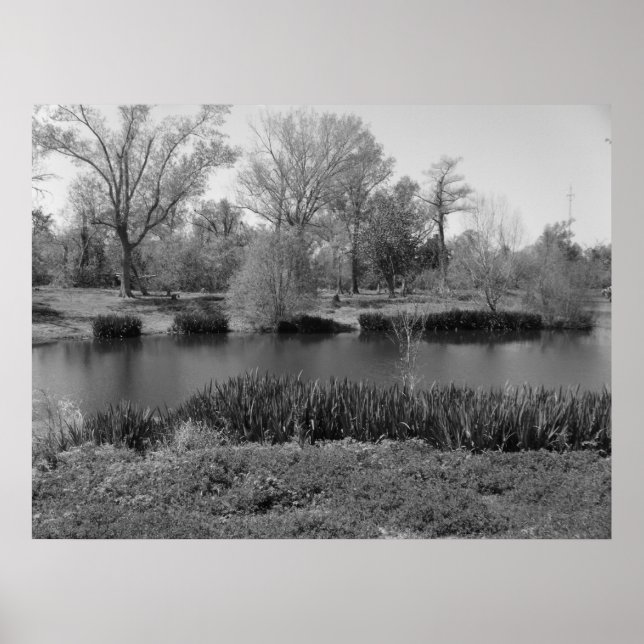 Poster 22 mars (13) Toile (Devant)