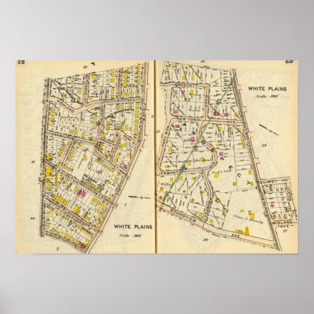 Poster 28-29 Plaines blanches (Devant)