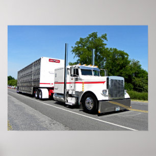 Poster 379 de Bontrager