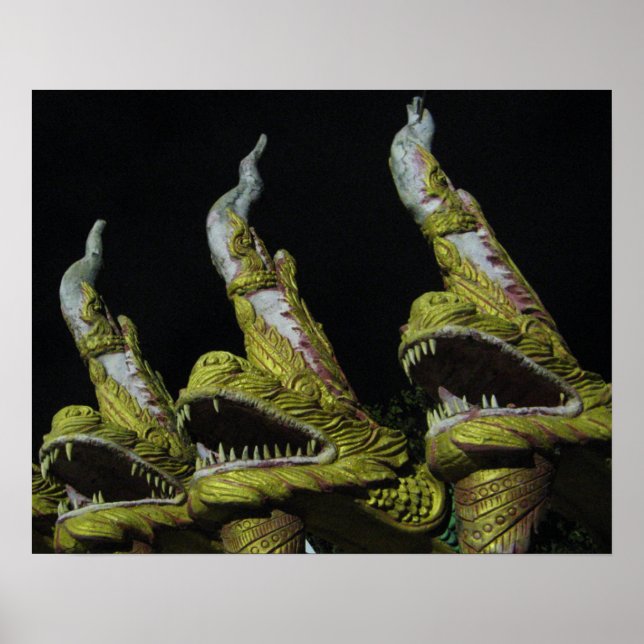Poster 3 Nagas la Nuit (Devant)
