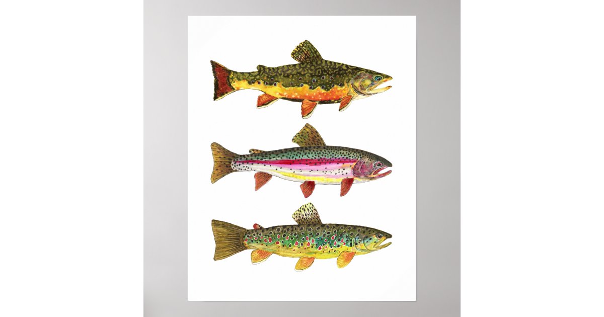 Pêcheur à La Mouche Pêche à La Mouche Graphique Pêche à La Mouche Clip Art Peche Noire Fond Blancvecteur 47786315