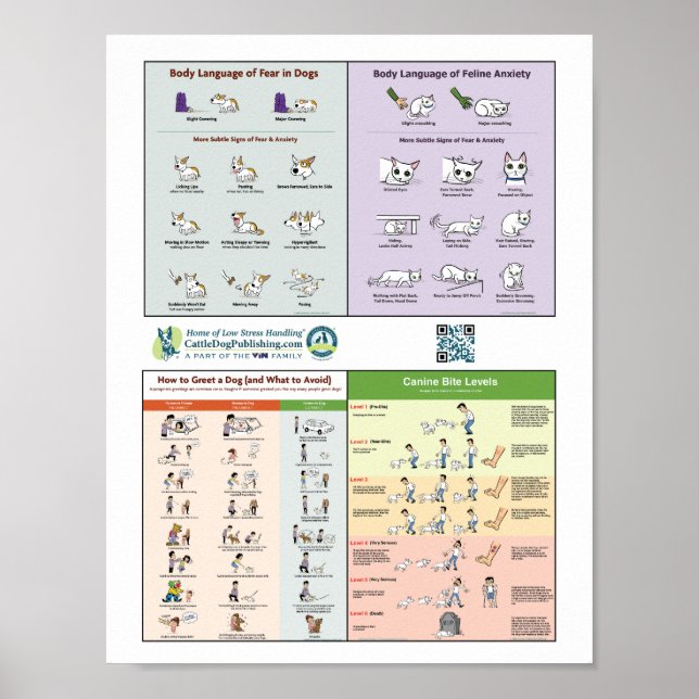 Poster 4 en 1 (Devant)