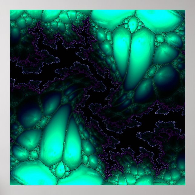 Poster 5 janvier 2007 (Devant)