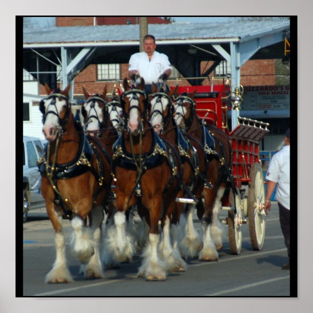 Poster 6 tirage hitch (Devant)