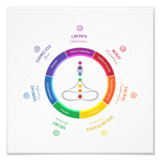 Poster 7 chakras
