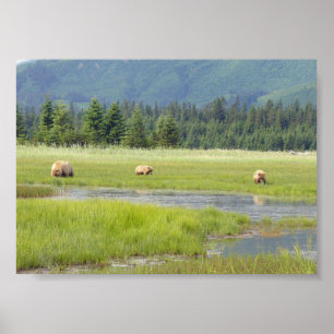 Poster 7x5 (Matte) avec grizzly et oursons