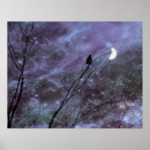 Poster A Celestial Moment