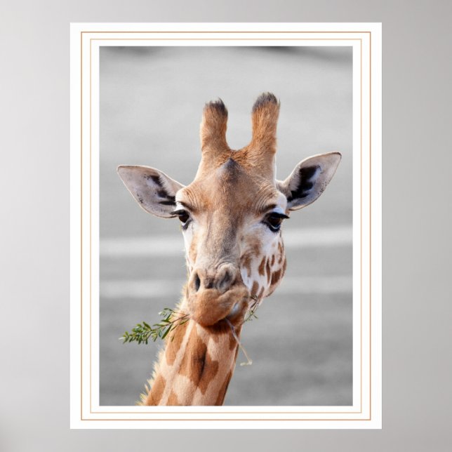 Poster A Été Repéré (Devant)