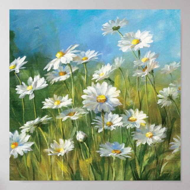 Poster A Field of White Daisies (Devant)