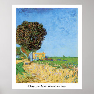 Poster A Lane près d'Arles, Vincent van Gogh.